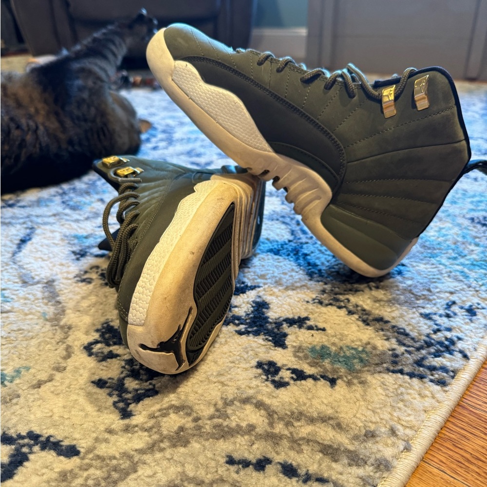 Jordan 12 retro